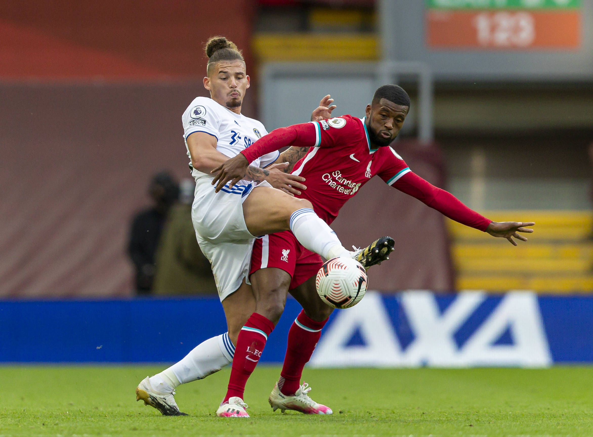 似乎没有预 似乎没有预